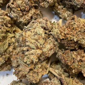 Purple-Skunk