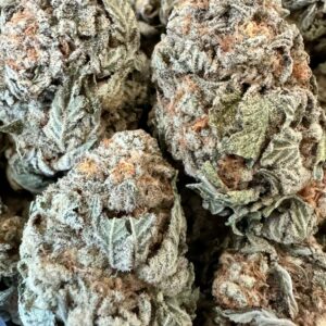 Jamaican Dream Sativa strain with tropical flavors and uplifting effects