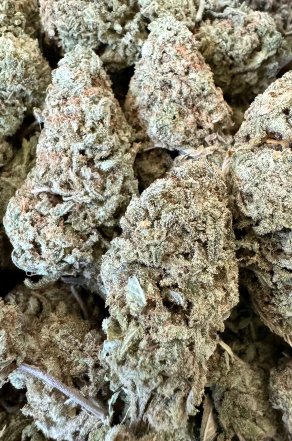 Pink Sherbert cannabis strain, a hybrid with high THC content, on sale for $140/2oz or $80/oz at Best Canada Cannabis