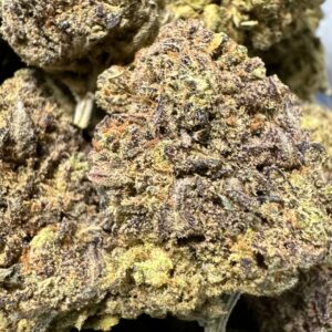 Money Pot Indica strain with powerful relaxing effects and robust flavors