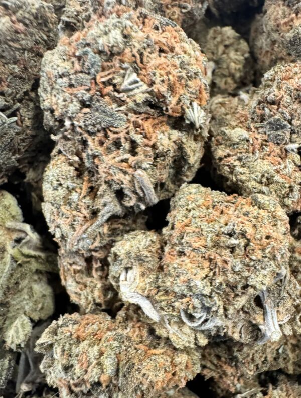 Orange 🍊 Kush