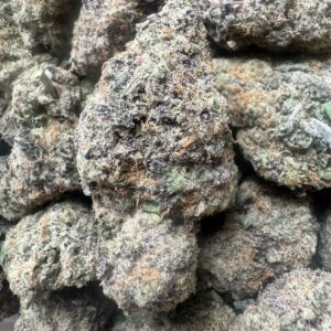 Cocoa Kush