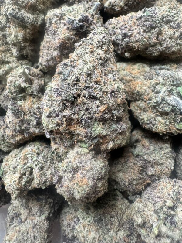 Cocoa Kush