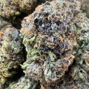 Purple Blizzard