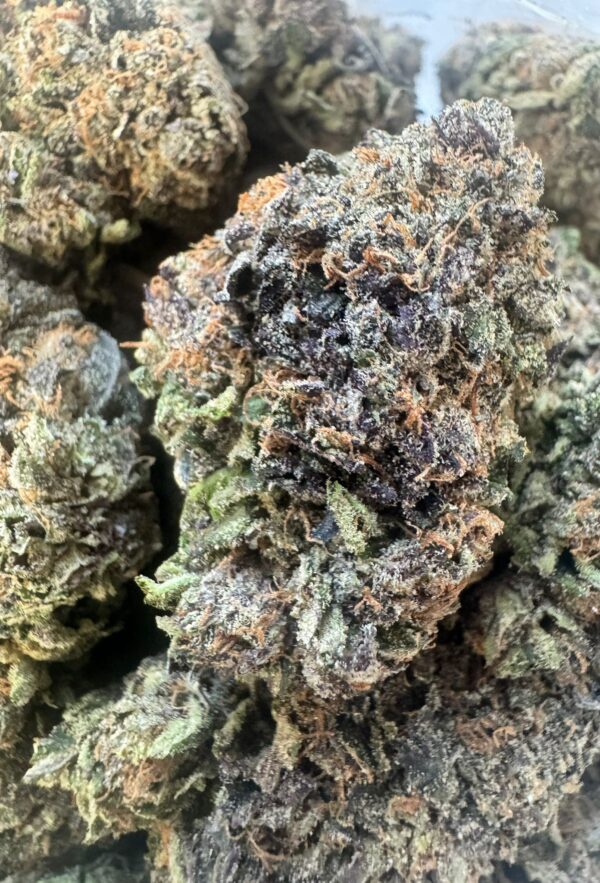 Purple Blizzard