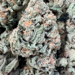 White Buffalo