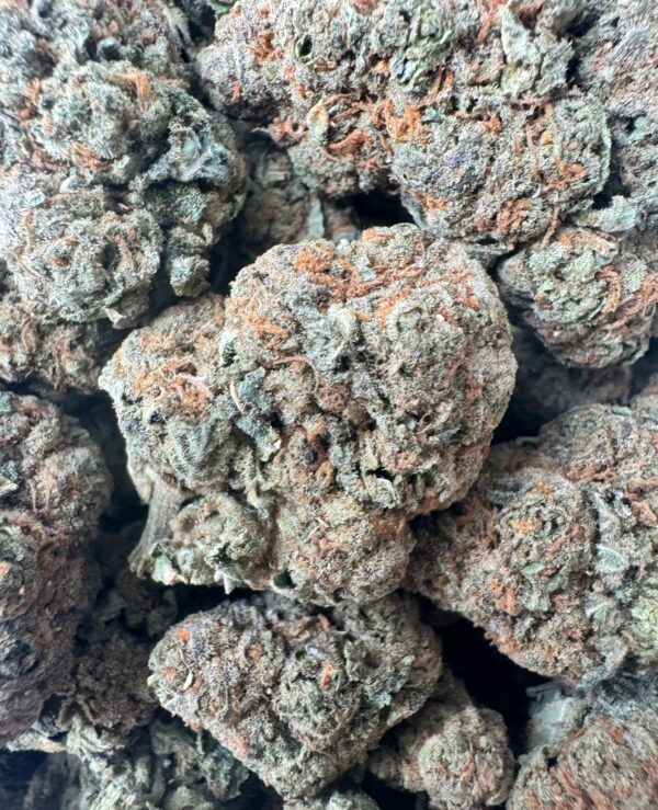 Lemon-Cherry-Gelato