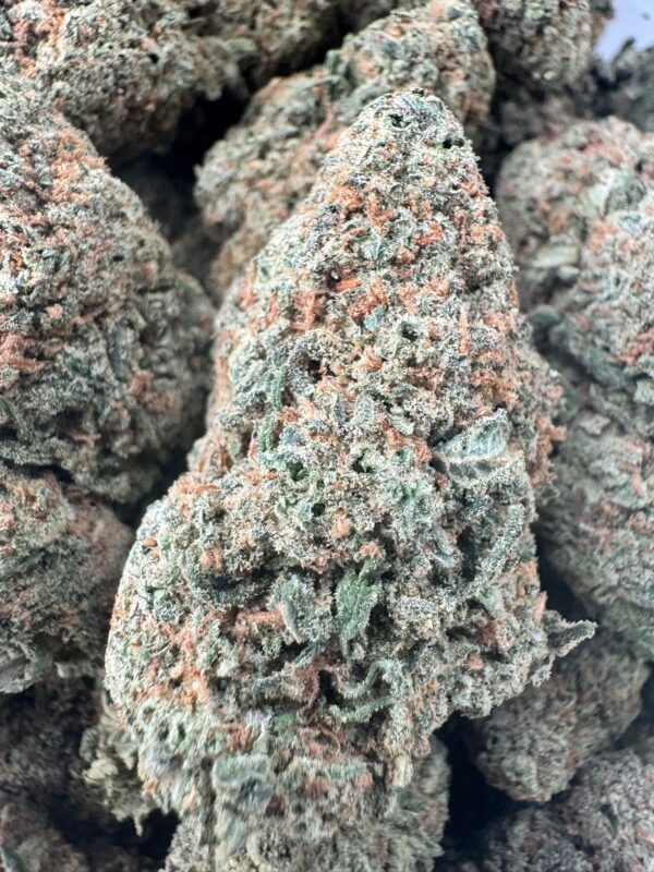 Nuken
