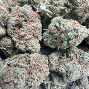 White Dawg