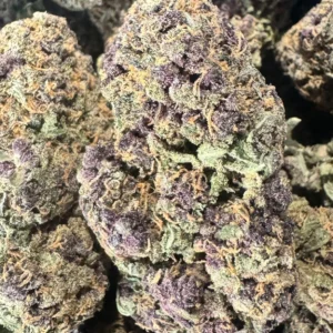 Purple Lamborghini