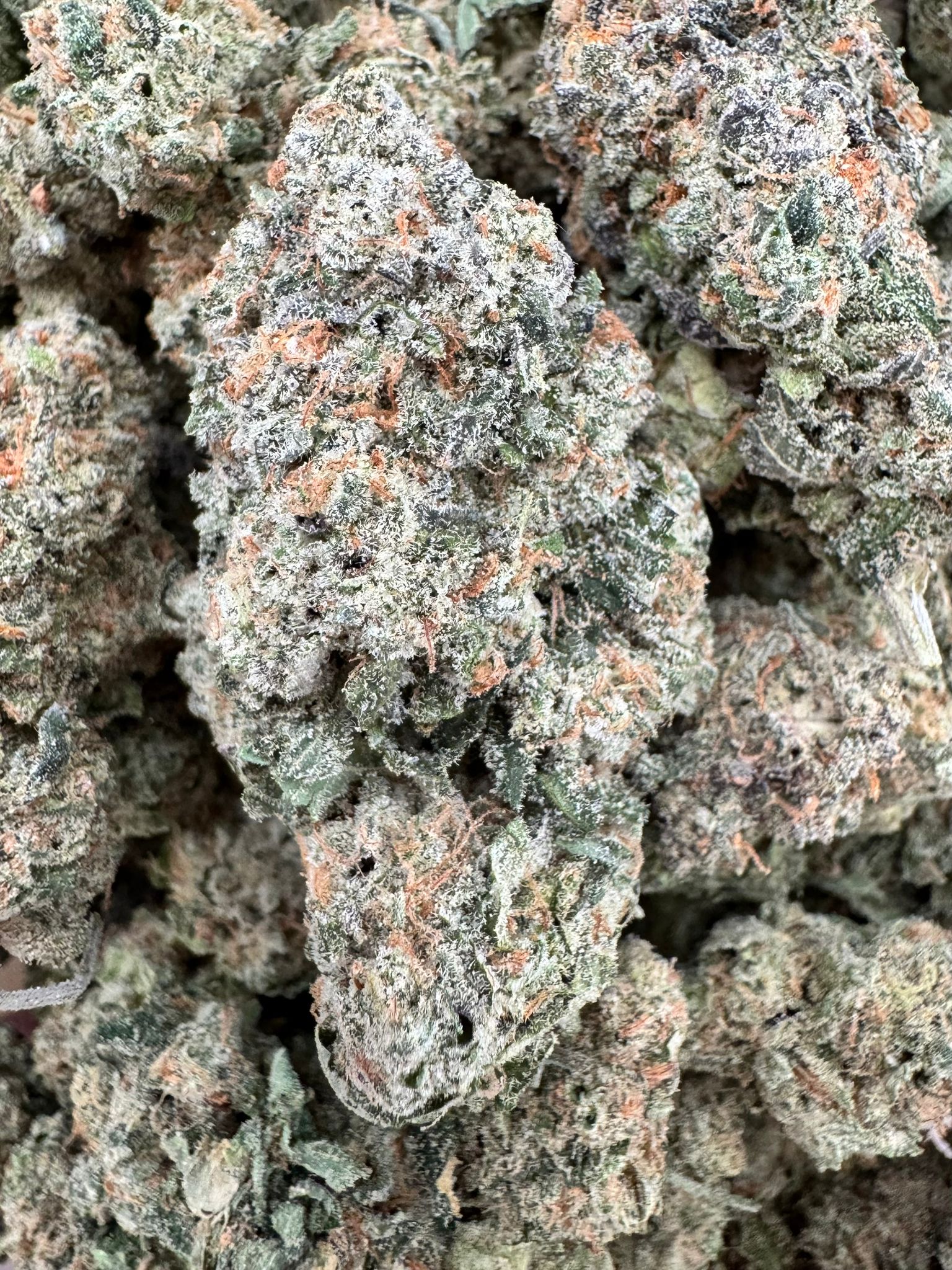 Khalifa Kush-1 Khalifa Kush