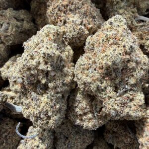 Goudaberry ( Indica dominant Hybrid )