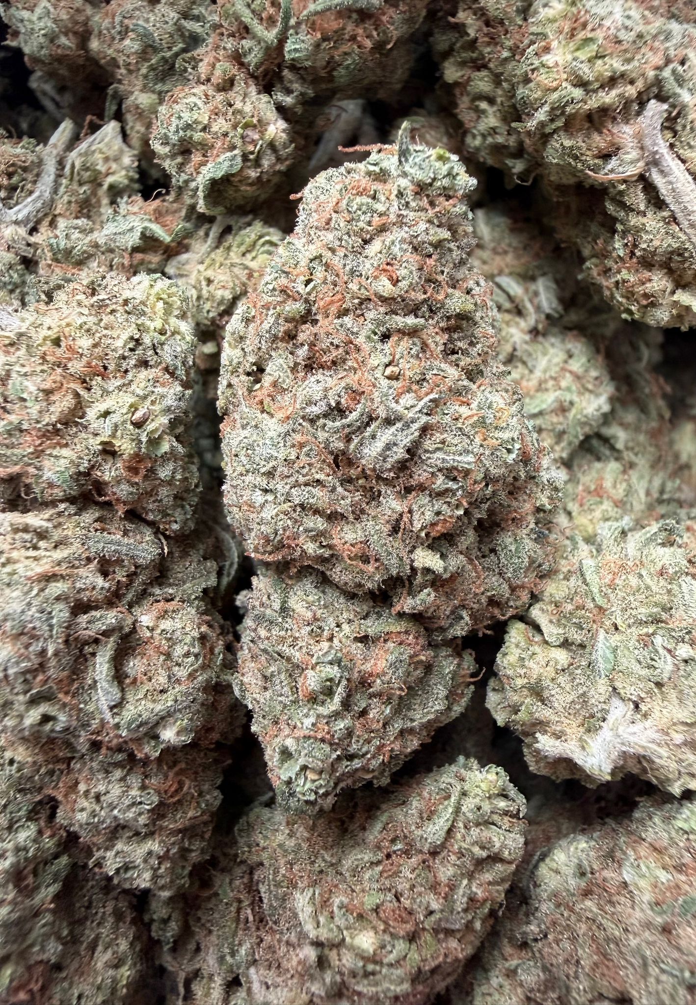 White Diamond White Diamond