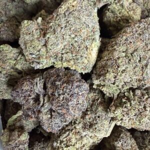 Acapulco Gold RARE Sativa