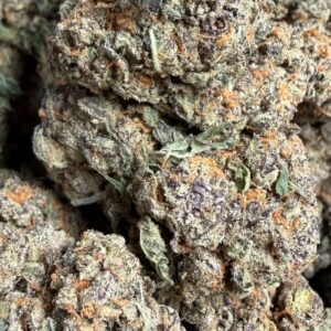 Dutch Kush