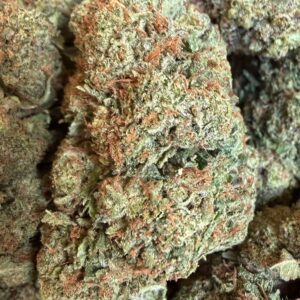 Holy Grail Kush Indica