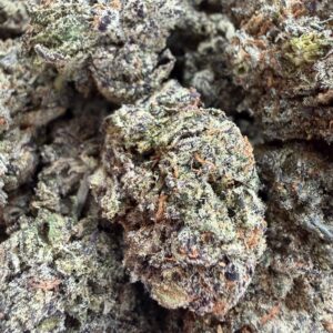 White Truffle