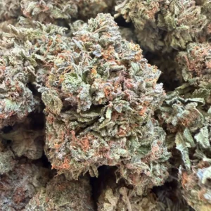 Amnesia Mac Ganja