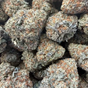 Gorilla Glue 5